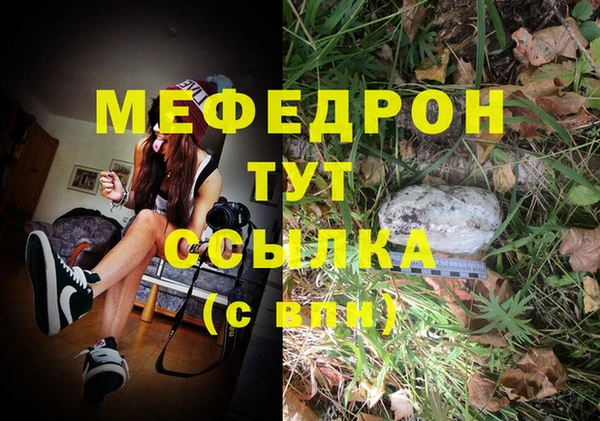 ешки Арсеньев